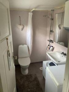 a small bathroom with a toilet and a sink at Strandnära mysig stuga med generösa utvändiga ytor in Mellbystrand