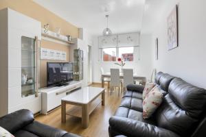 ein Wohnzimmer mit einem Ledersofa und einem TV in der Unterkunft Apartamento Fénix in Granada