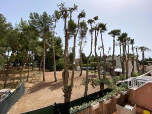 uma vista para um parque com palmeiras em Casetta, 54 em Sirolo
