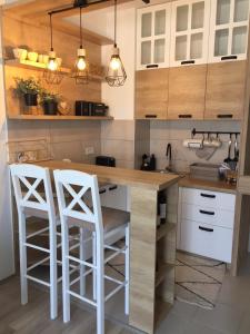 Kuchyň nebo kuchyňský kout v ubytování Apartman Mijatovic