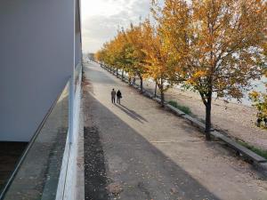 加亚新城Douro Porto View的两个人在树上走下桥