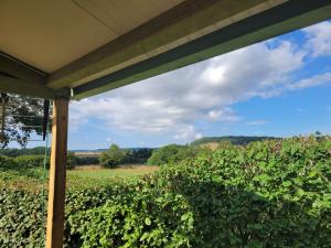 vistas a un viñedo desde el porche de una bodega en Camping les Hirondelles, en Bourg-Sainte-Marie