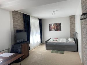 TV a/nebo společenská místnost v ubytování Apartment Hildesheim