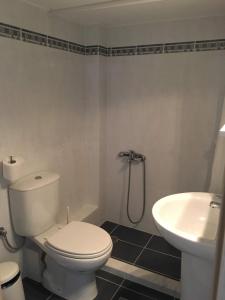 ein Badezimmer mit weißer Toilette und Waschbecken in der Unterkunft Spacious Apartment Skala Fourkas in Skála Foúrkas + 13 Fotos