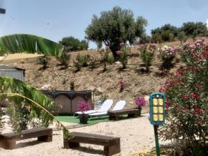 Zahrada ubytování Casa vacanze Abbacari