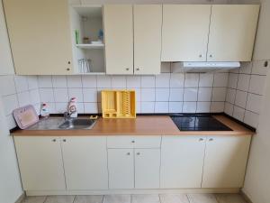 Kuchyň nebo kuchyňský kout v ubytování NIKA beds