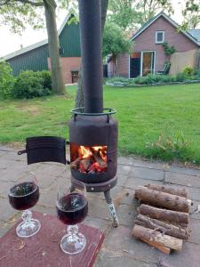 two glasses of wine next to a wood stove at KnusinTwente in Geesteren