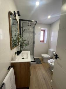 ein Bad mit einem Waschbecken, einer Dusche und einem WC in der Unterkunft Villa Elena Can Quintana in Pineda de Mar
