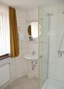 W łazience znajduje się umywalka i przeszklony prysznic. w obiekcie Pension Haus Bambi w mieście Mölln