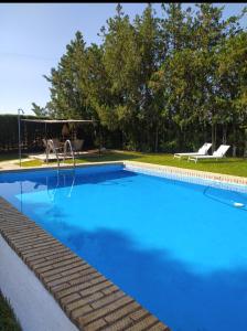una piscina de agua azul en un patio en La Zagala, en Badajoz