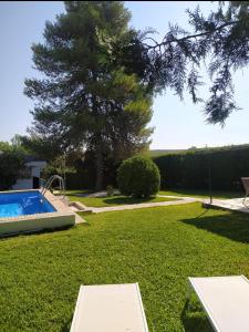 a yard with a swimming pool and a tree at La Zagala in Badajoz
