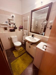 Kúpeľňa v ubytovaní Zoe apartman