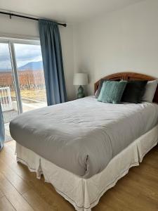 ein großes Bett in einem Schlafzimmer mit einem großen Fenster in der Unterkunft Sonora Desert Inn in Osoyoos