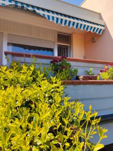 une maison avec des plantes sur la terrasse couverte à l'avant dans l'établissement Sea View Apartment Villarosa, à Villa Rosa