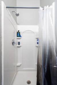 een badkamer met een douche en een douchegordijn bij Suite near downtown Louisville, KY - Suite V in Louisville
