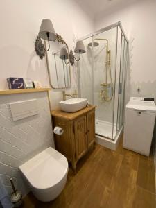 斯武普斯克Apartments PSD - Anny Łajming 3C的浴室里有马桶、洗手池和淋浴。