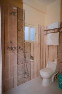 博卡拉的住宿－Majestic Lake Front Hotel & Suites，一间带卫生间和淋浴的浴室