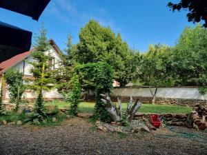 una casa con un jardín con árboles y una valla en Megic Garden Bell Tent en Vama Veche