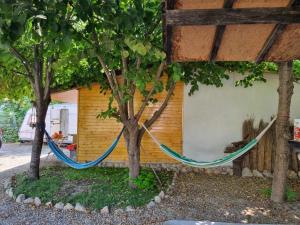 una hamaca atada a dos árboles frente a un edificio en Megic Garden Bell Tent en Vama Veche