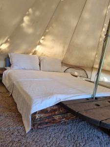 - une chambre avec un lit dans une tente dans l'établissement Megic Garden Bell Tent, à Vama Veche