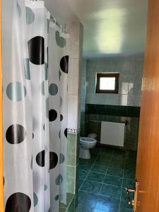 a bathroom with a toilet and a shower curtain at Roua Muntelui in Sărata-Monteoru