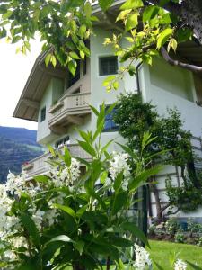 Hoone, kus apartement asub