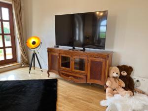 two teddy bears are sitting in front of a tv at Dogs Resort and Spa in Horní Bezděkov