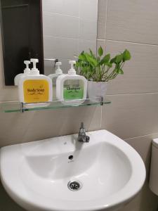 a bathroom sink with two soap and a mirror at NK HOMESTAY DESARU in Bandar Penawar