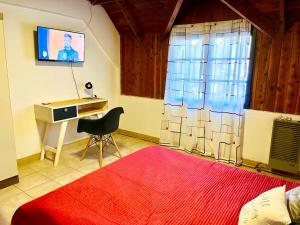 a bedroom with a bed and a desk and a television at ApartamentsLouis in El Bolsón