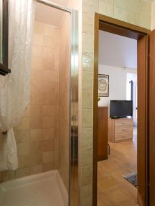 a bathroom with a shower with a bath tub at Villa Rošin with Garden&Pool in Milna