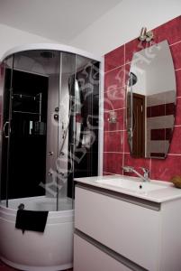 La salle de bains est pourvue d'un lavabo, d'une douche et d'un miroir. dans l'établissement Pensiunea CASA MOLDOVEANA, à Piatra Neamţ