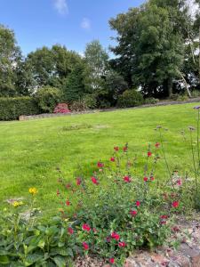 pole kwiatów na polu trawy w obiekcie Grovetown Barn w mieście Launceston