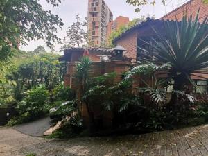 un jardin avec des palmiers et un bâtiment dans l'établissement Apartamento campestre LOFT con jacuzzi en San Lucas, El Poblado, à Medellín