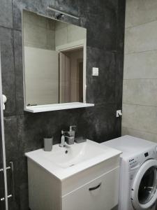 een badkamer met wastafel en wasmachine bij Apartman Sterpin in Pula