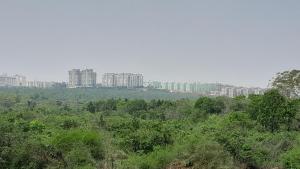 Paesaggio naturale nelle vicinanze della stanza in casa privata