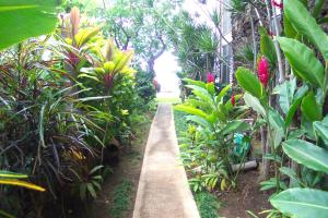 Um jardim no exterior de Pikake Unit A6