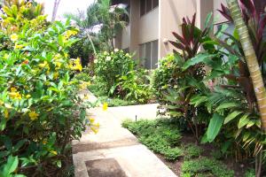 Um jardim no exterior de Pikake Unit A6