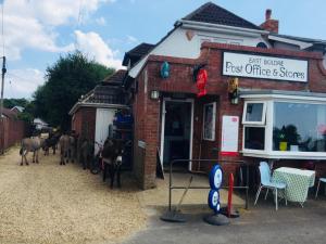 una oficina de correos con caballos parados fuera de ella en New Forest View en Beaulieu