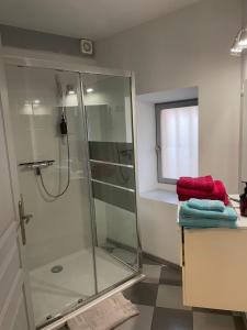 een badkamer met een douche en een glazen douchecabine bij Gîte Alet les bains in Alet-les-Bains