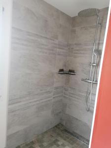 ein Bad mit einer Dusche und einer Glastür in der Unterkunft La Maison des Amis in Les Essarts
