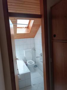 a small bathroom with a toilet and a sink at Apartment Bonita in Vir +57 photos
