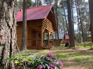 uma cabana de madeira com um telhado vermelho na floresta em Chëcz u Wéłka em Borsk