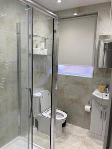 uma casa de banho com um WC e uma cabina de duche em vidro. em TWIN TOWERD HOTEL em Londres
