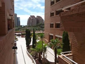 - une vue sur une rue bordée de palmiers et de bâtiments dans l'établissement ACV - Torremar-2ª linea planta 2 Frontal 3h, à Oropesa del Mar