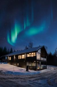a house with the aurora in the sky at BestVillas Himos Finland in Jämsä