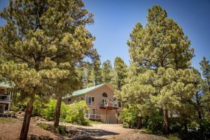 a house with trees in front of it at 785 Aspenglow Blvd ("Bear's Cliff") in Pagosa Springs