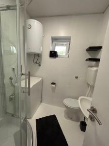 a white bathroom with a toilet and a shower at Apartmani Nada in Drage