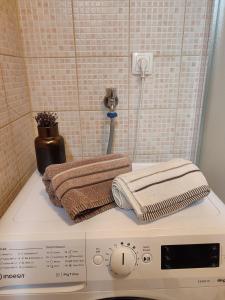 uma máquina de lavar roupa com duas toalhas em cima em Shiny Thumb Apartment em Bihać