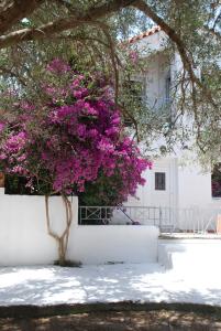 a white building with a tree with purple flowers at Katelios Farm House Loft in Katelios