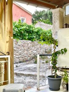 een potplant in een pot op een patio bij Ikia Village in Kyprianádes